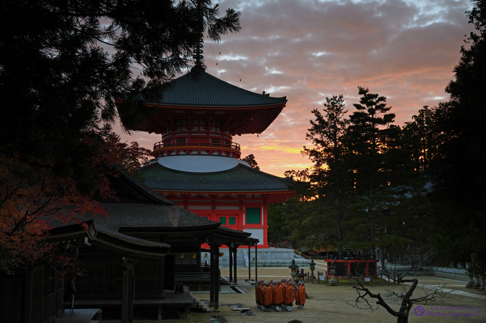 和歌山 高野山・壇上伽藍紅葉巡り 2020 / シグマ SIGMA 105mm 和歌山 高野山・壇上伽藍紅葉巡り 2020 / シグマ SIGMA 105mm